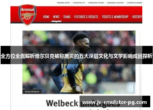 全方位全面解析维尔贝克被称黑贝的五大深层文化与文学影响成因探析 全方位全面解析维尔贝克被称黑贝的五大深层文化与文学影响成因探析