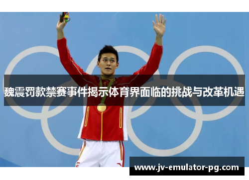 魏震罚款禁赛事件揭示体育界面临的挑战与改革机遇