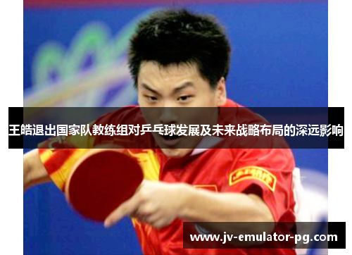 王皓退出国家队教练组对乒乓球发展及未来战略布局的深远影响