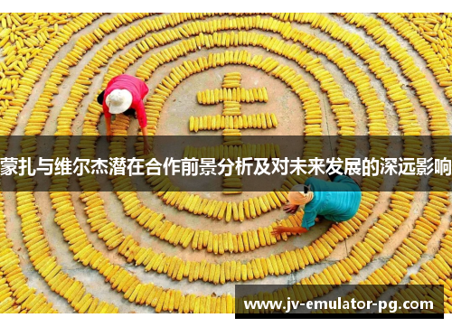 蒙扎与维尔杰潜在合作前景分析及对未来发展的深远影响