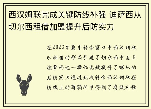 西汉姆联完成关键防线补强 迪萨西从切尔西租借加盟提升后防实力