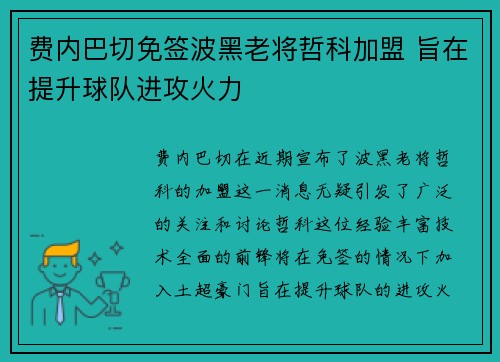 费内巴切免签波黑老将哲科加盟 旨在提升球队进攻火力